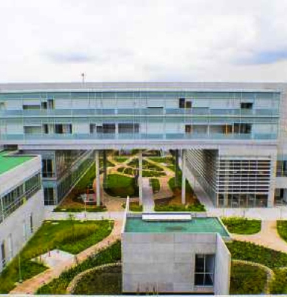institucional